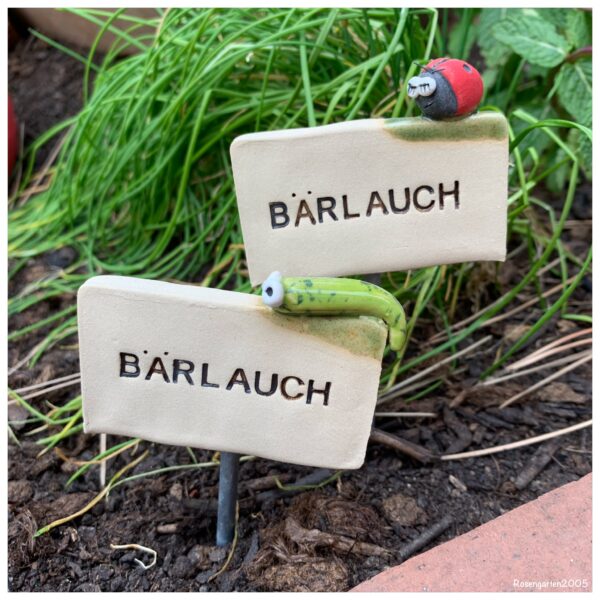 Kräuterschild "Bärlauch"