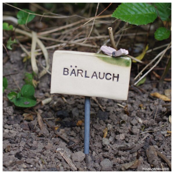Kräuterschild "Bärlauch" – Bild 2