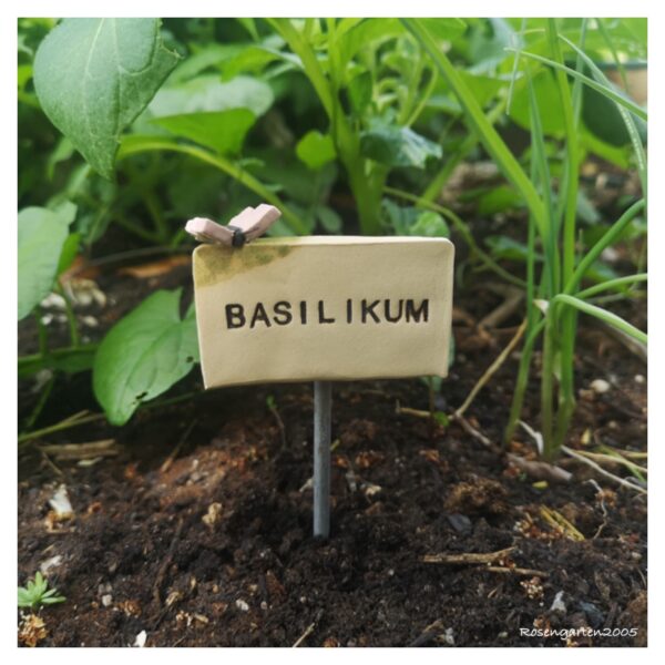 Kräuterschild „Basilikum“ – Bild 4