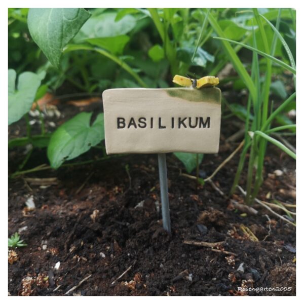 Kräuterschild „Basilikum“ – Bild 3
