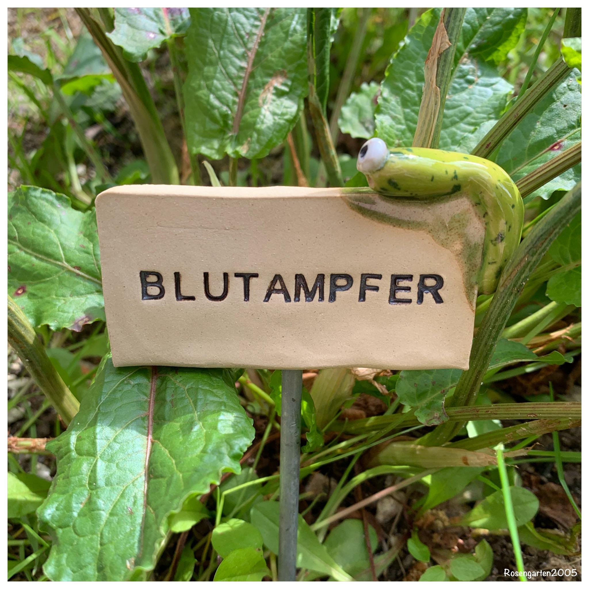 Kräuterschild „Blutampfer“