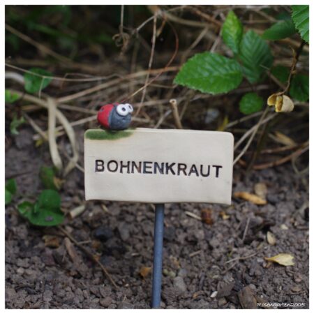 Kräuterschild „Bohnenkraut“