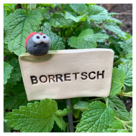 Kräuterstecker Borretsch