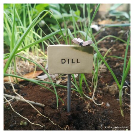 Kräuterstecker Dill