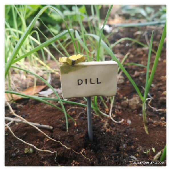 Kräuterstecker Dill – Bild 2