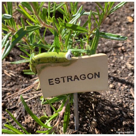 Kräuterstecker Estragon