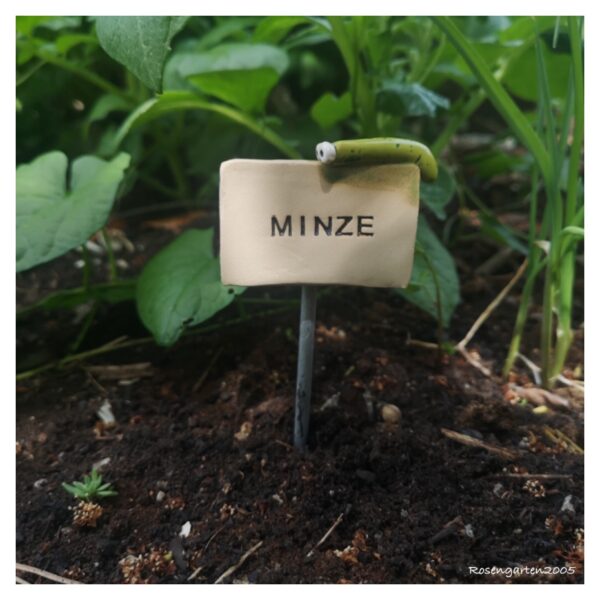 Kräuterstecker Minze – Bild 2