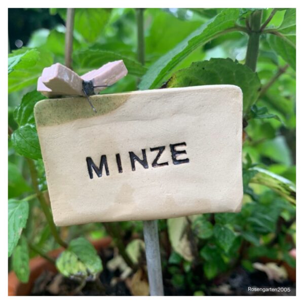 Kräuterstecker Minze