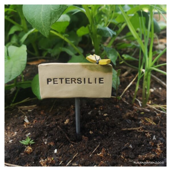 Kräuterstecker Petersilie – Bild 4