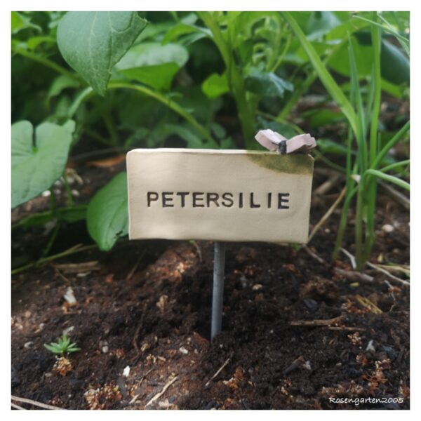 Kräuterstecker Petersilie – Bild 5