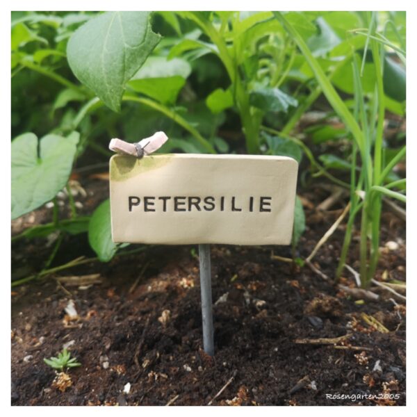 Kräuterstecker Petersilie – Bild 6