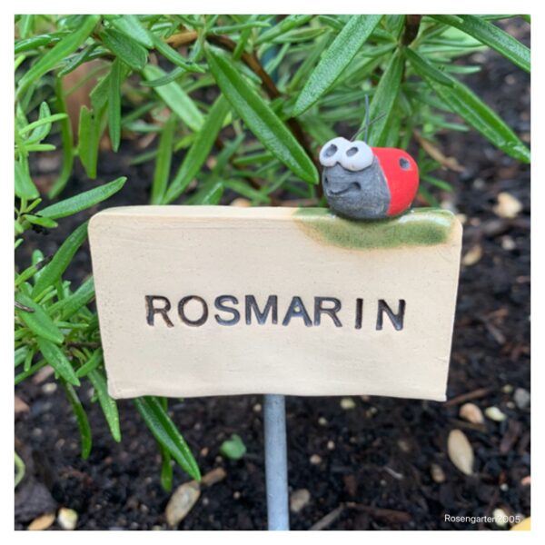 Kräuterstecker Rosmarin – Bild 3