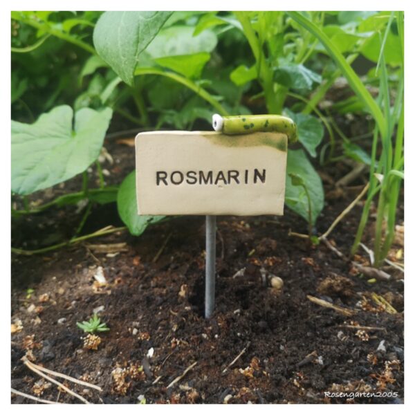 Kräuterstecker Rosmarin – Bild 4