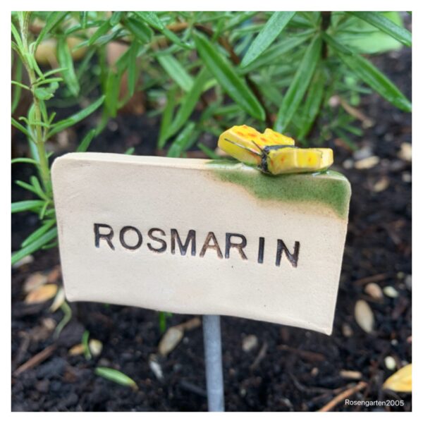 Kräuterstecker Rosmarin – Bild 6