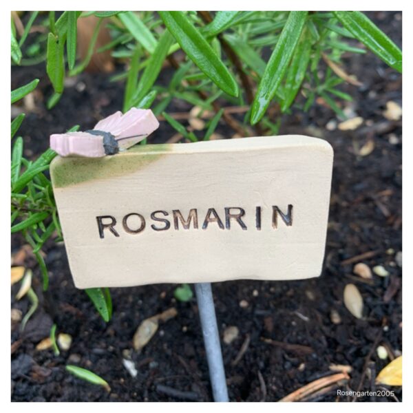 Kräuterstecker Rosmarin – Bild 7