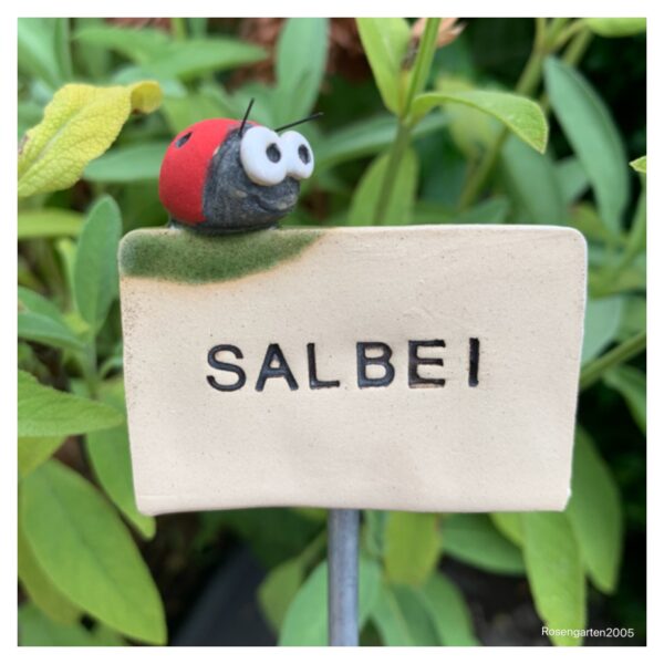 Kräuterstecker Salbei – Bild 2