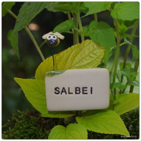 Kräuterstecker Salbei