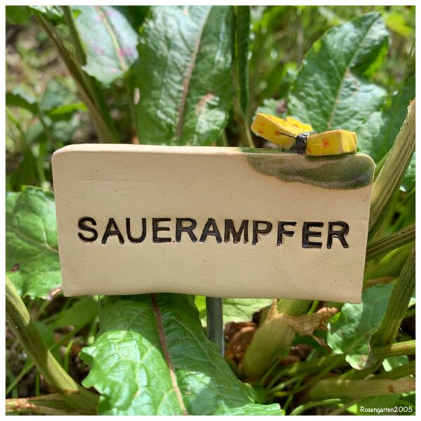 Kräuterschild „Sauerampfer“ – Bild 2