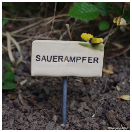 Kräuterschild „Sauerampfer“