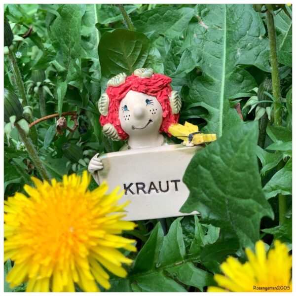Wunschkräuterschild – Bild 7