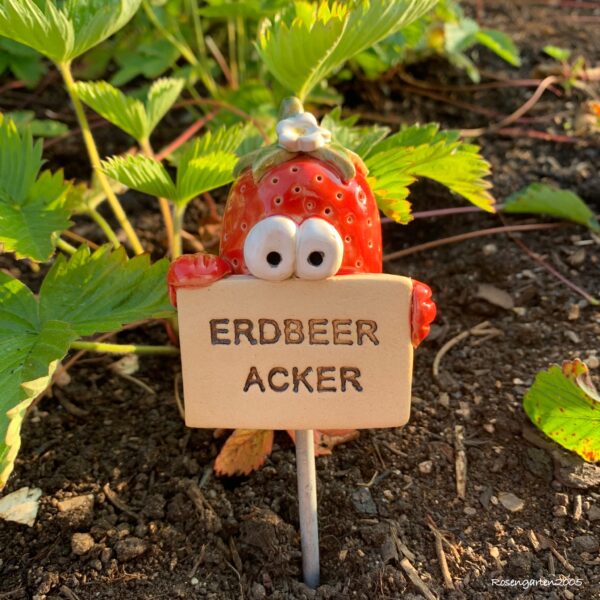 Gemüsestecker Erdbeeracker