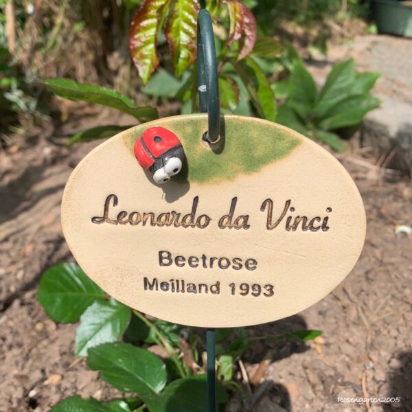 Rosenschild Leonardo da Vinci