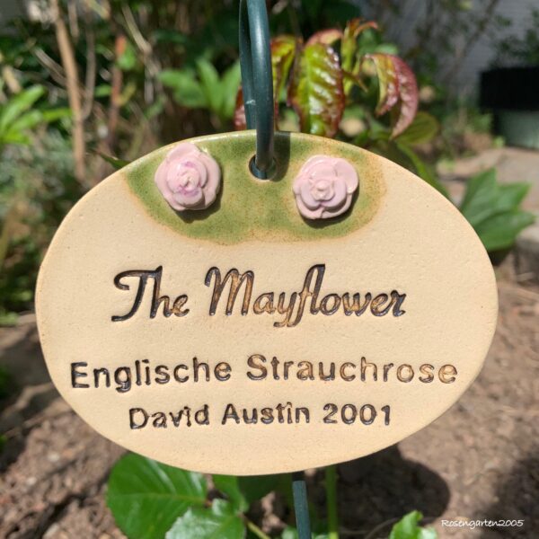 Wunschrosenschild – Bild 6