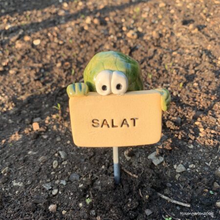 Gemüseschild Salat