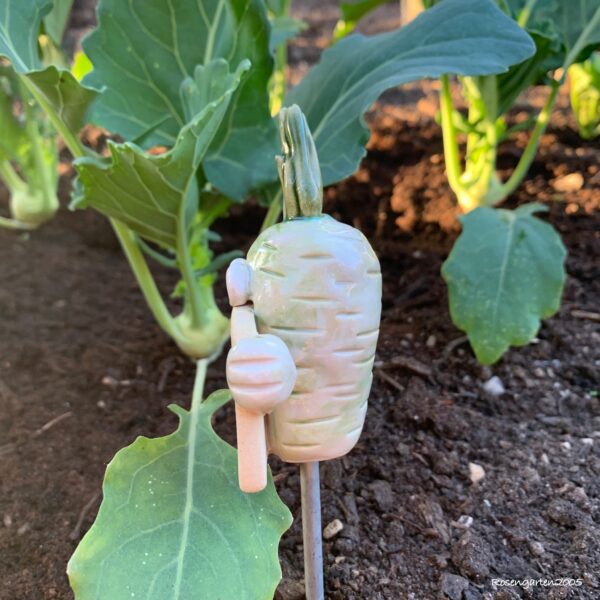 Gemüsestecker Kohlrabi
