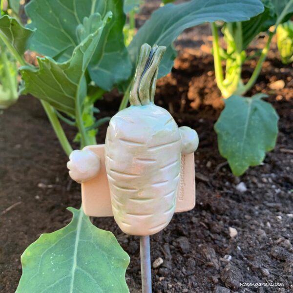 Gemüsestecker Kohlrabi