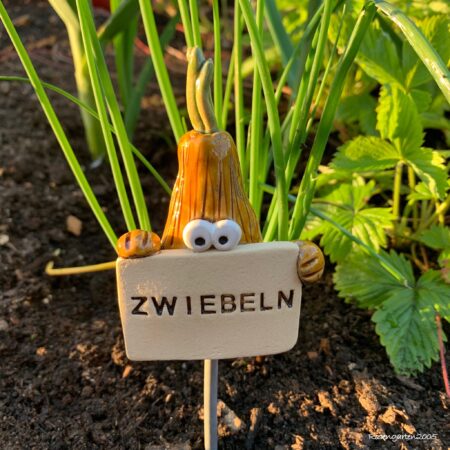Gemüsestecker Zwiebeln