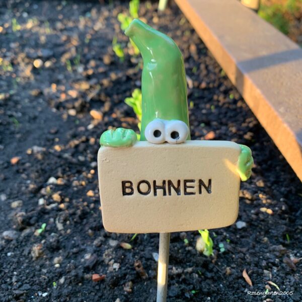 Gemüsestecker Bohnen