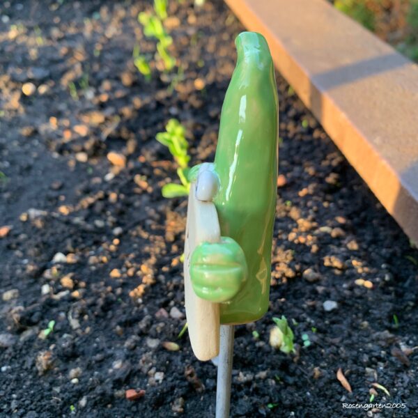 Gemüsestecker Bohnen – Bild 6
