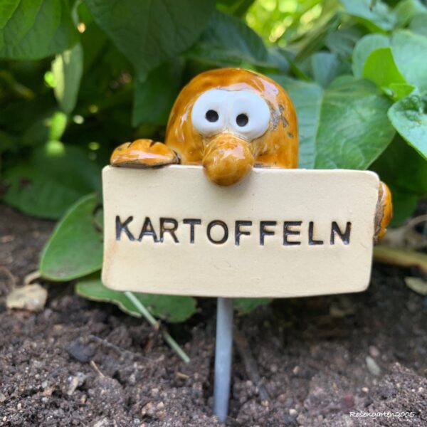 Gemüsestecker Kartoffeln