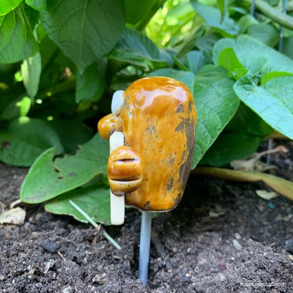 Gemüsestecker Kartoffeln