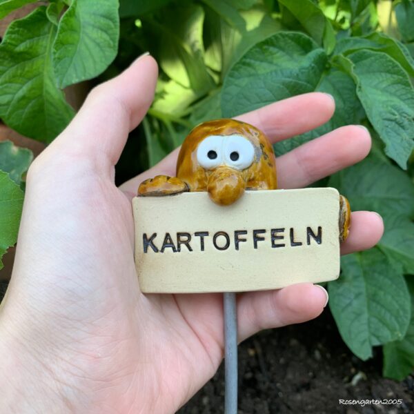 Gemüsestecker Kartoffeln
