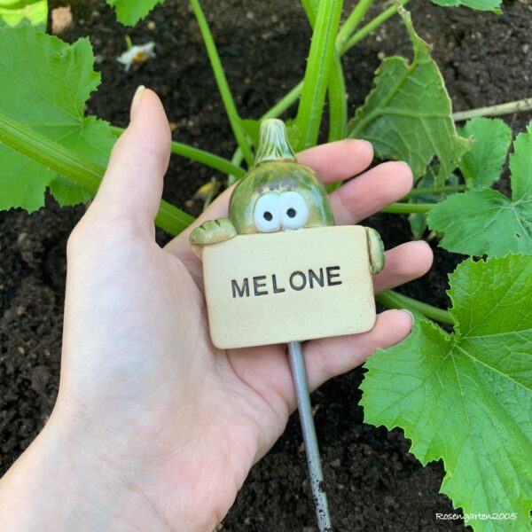 Gemüseschild Melone – Bild 6