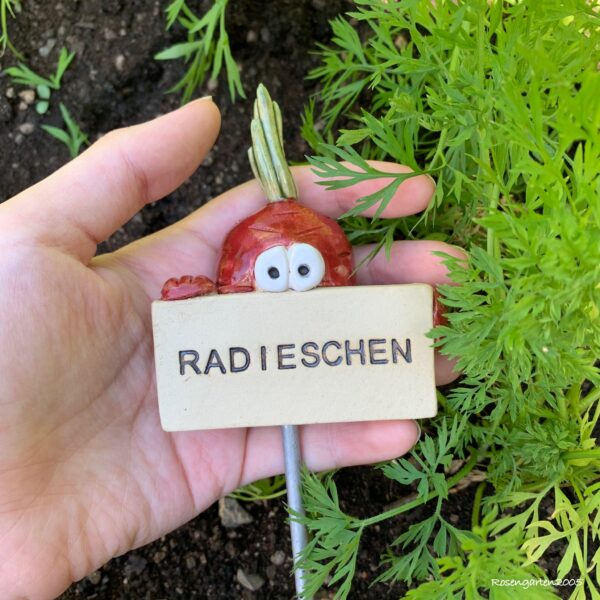 Gemüsestecker Radieschen – Bild 6