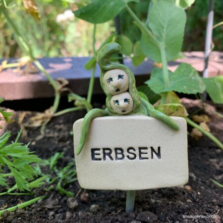Gemüsestecker Erbsen