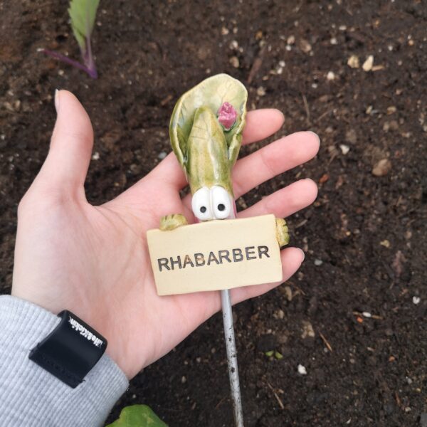 Gemüsestecker Rhabarber – Bild 3