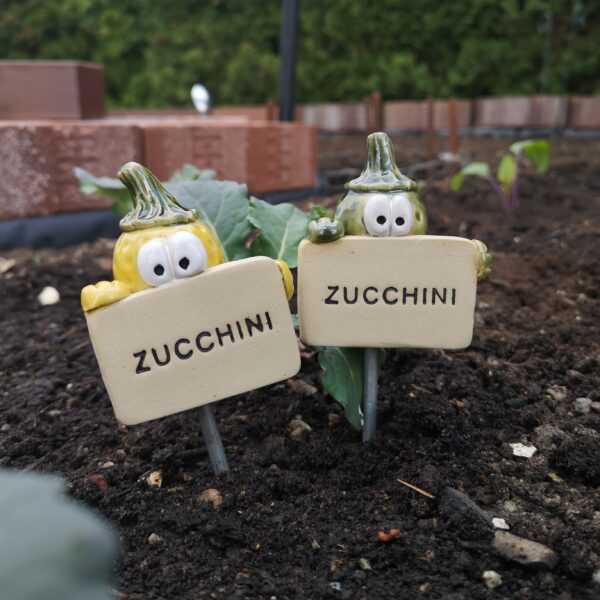 Gemüseschild Zucchini