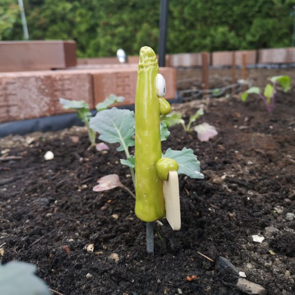 Gemüsestecker Spargel – Bild 3