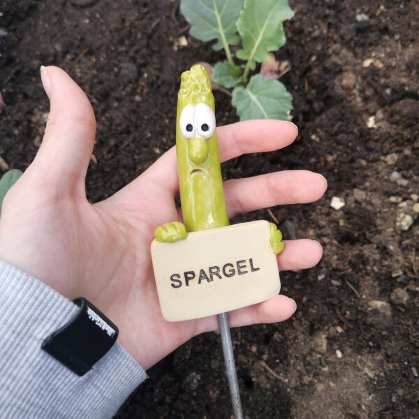 Gemüsestecker Spargel – Bild 6