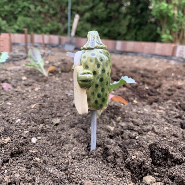 Gemüseschild Zucchini – Bild 6