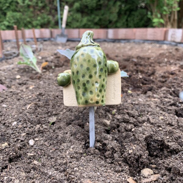 Gemüseschild Zucchini – Bild 5
