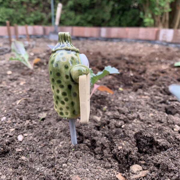 Gemüseschild Zucchini – Bild 4