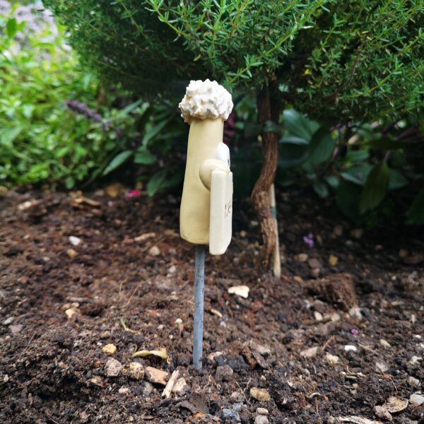 Gemüsestecker Blumenkohl – Bild 6