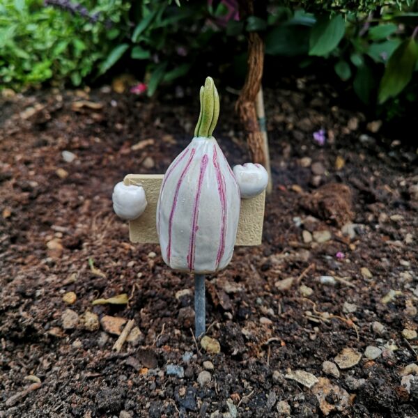 Gemüsestecker Knoblauch – Bild 5