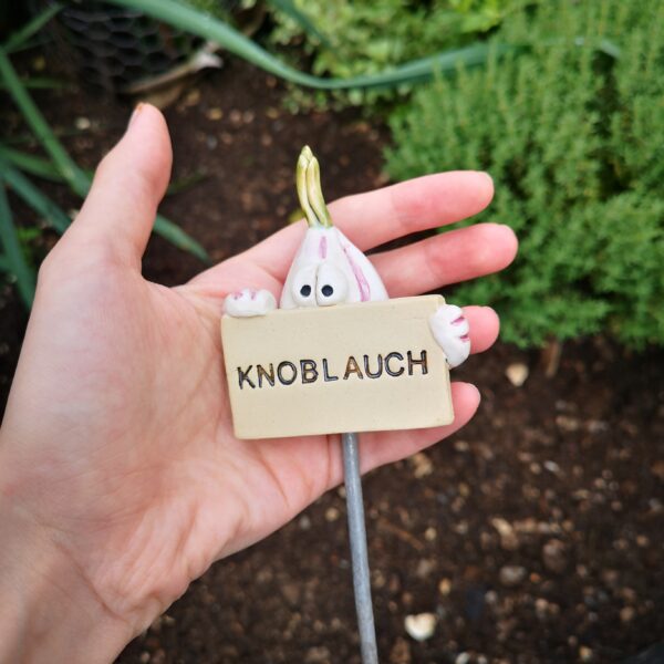 Gemüsestecker Knoblauch – Bild 3