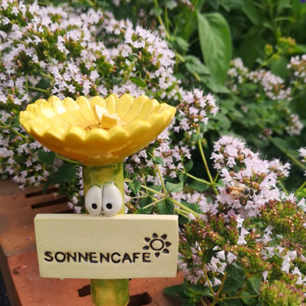 Live-Töpfern Deine individuelle Bienenbar aus Keramik – Bild 2